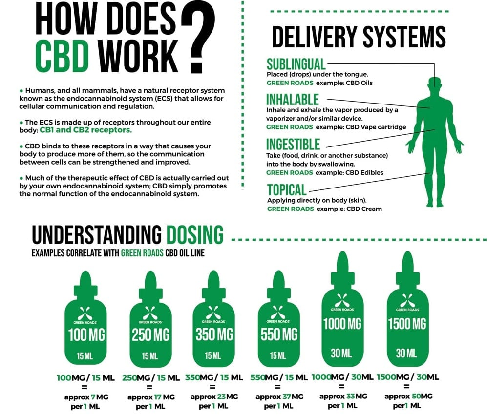 CBD Infographic