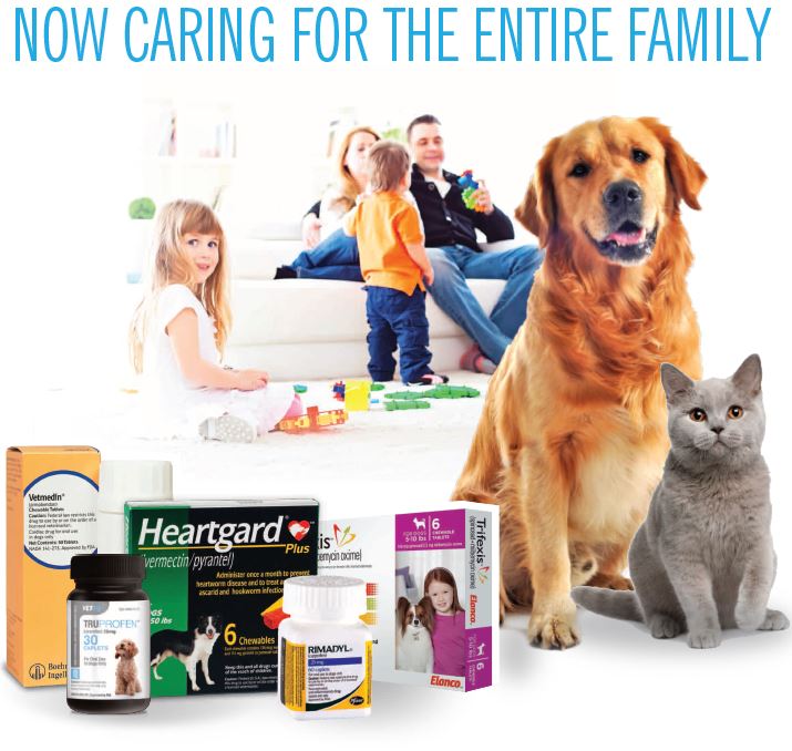 Pet Medications for Dogs and Cats